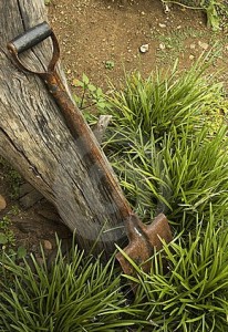 rusty-old-spade-leaning-against-thumb12371877